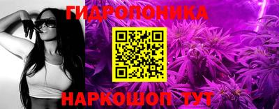 прущие крисы Сланцы