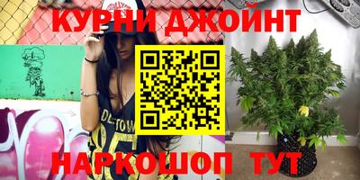 прущие крисы Сланцы